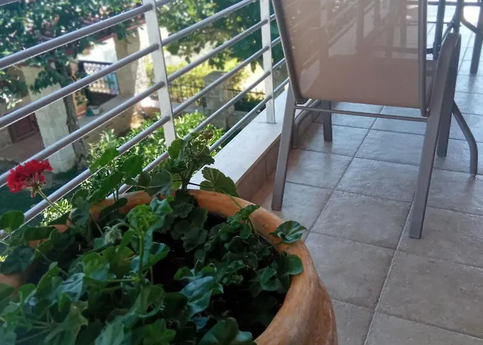 Rodiola House 아피토스