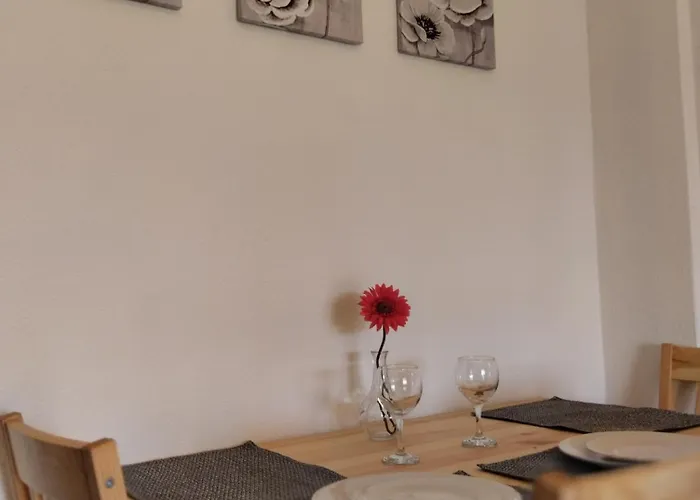 Rodiola House 아파트 *