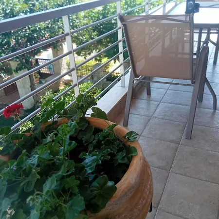 Rodiola House Афитос