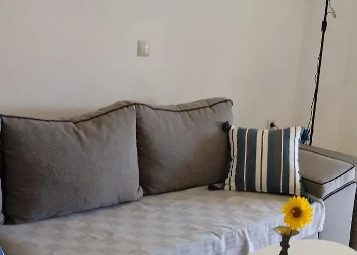Rodiola House Апартаменты *